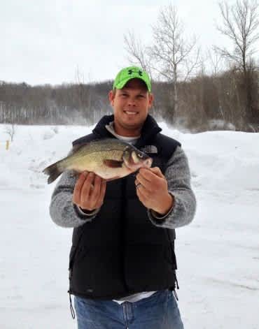 Michigan Ice Fisherman Lands State Record White Perch