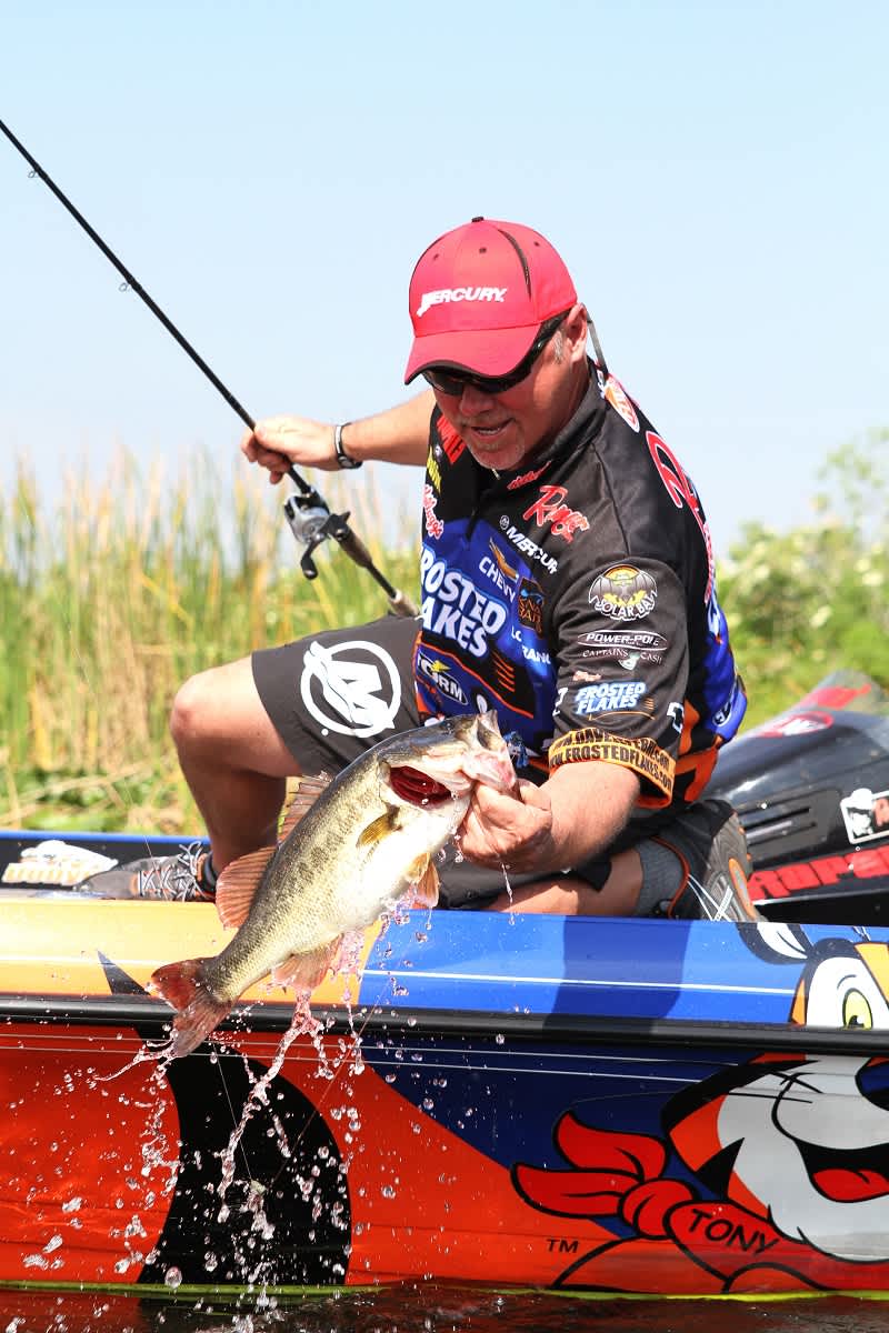 New Company Bringing World’s Top Pros into Your Living Room…LIVE!