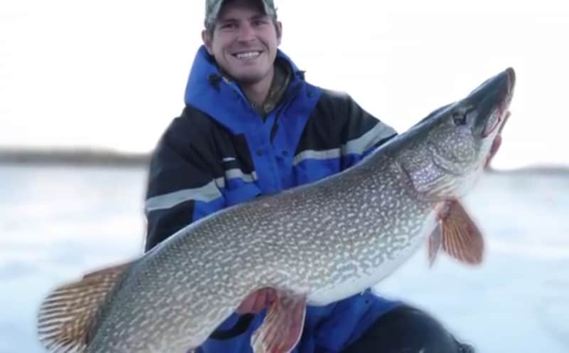 Nebraska Angler Releases 33-pound Pike, Possible State Record