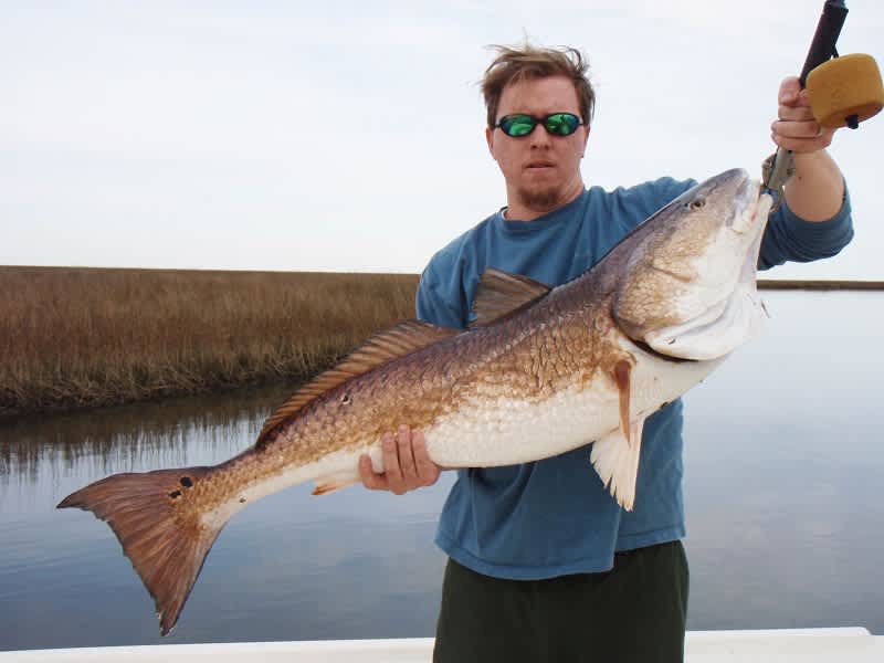 Redfish Eating Rats, Helping Gulf Coast Conservationists