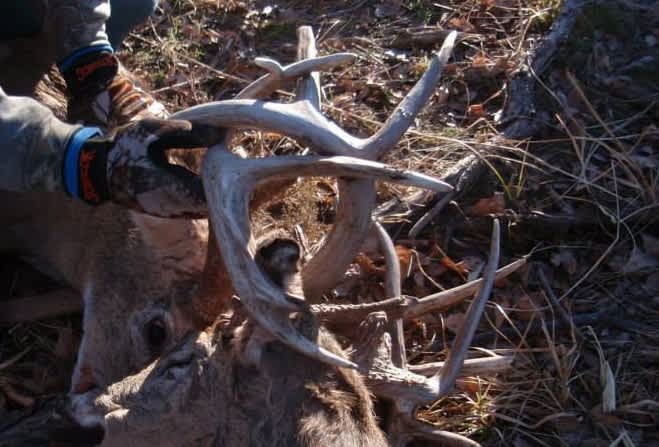 Video: The Buck Who Carried His Rival’s Head
