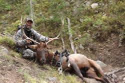 Doug Koenig Championship Season Presents Bugling Bull Elk in Wyoming