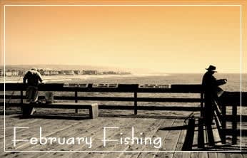 This Week on The Revolution – February Fishing Review