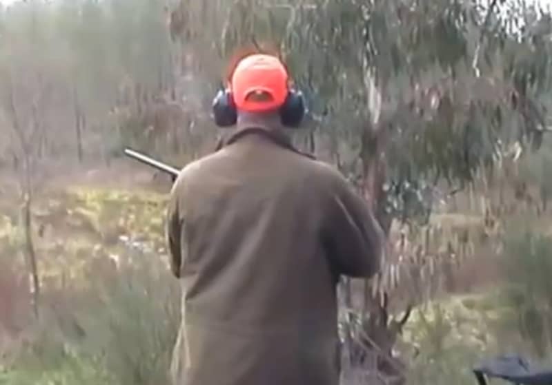 Video: Boar Blindsides Hunter in Close Call