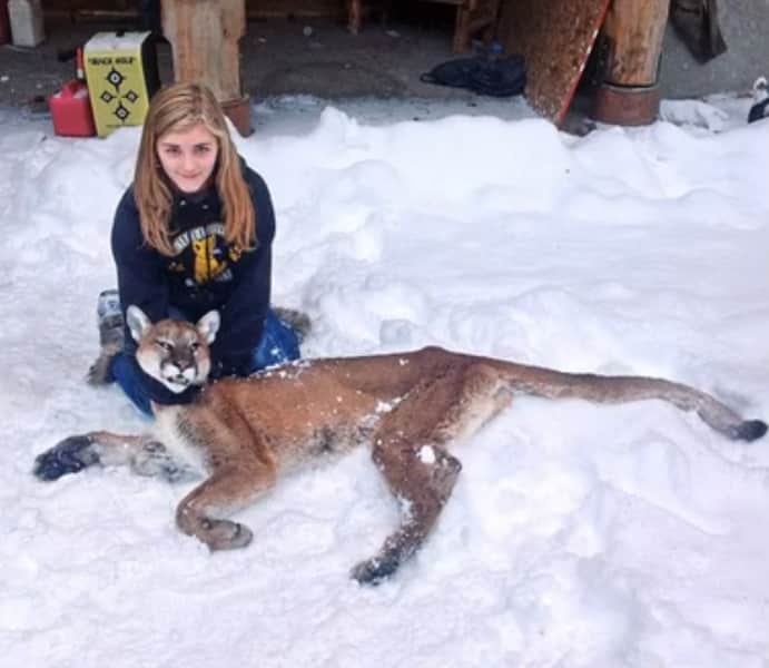 Eleven-year-old Girl Shoots Mountain Lion Stalking Her Brother