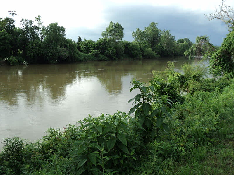 North Carolina Coal Ash Spill Closes Fishing in Dan River