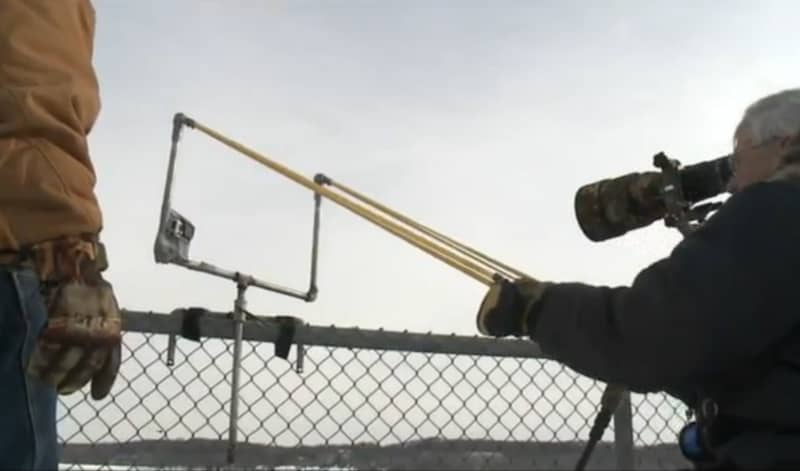 Video: Eagle Watchers Build “Fish Catapult” for Perfect Photo