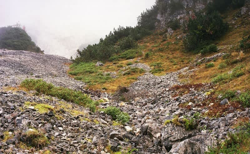 Can You Find the Expertly Camouflaged Sniper in These Photos?