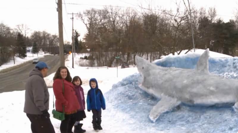 Michigan Man Builds Great White Snow Shark in Front Yard
