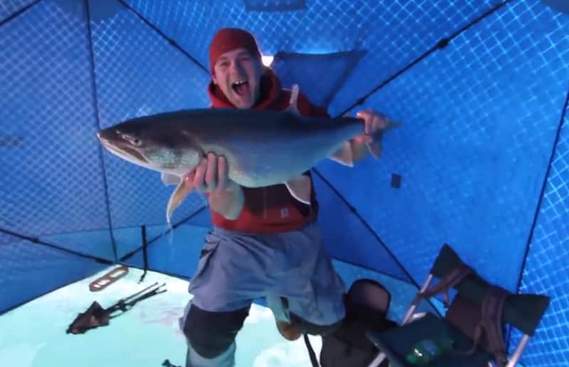 Video: Anglers Reel in Massive Lake Trout Through Clear Ice