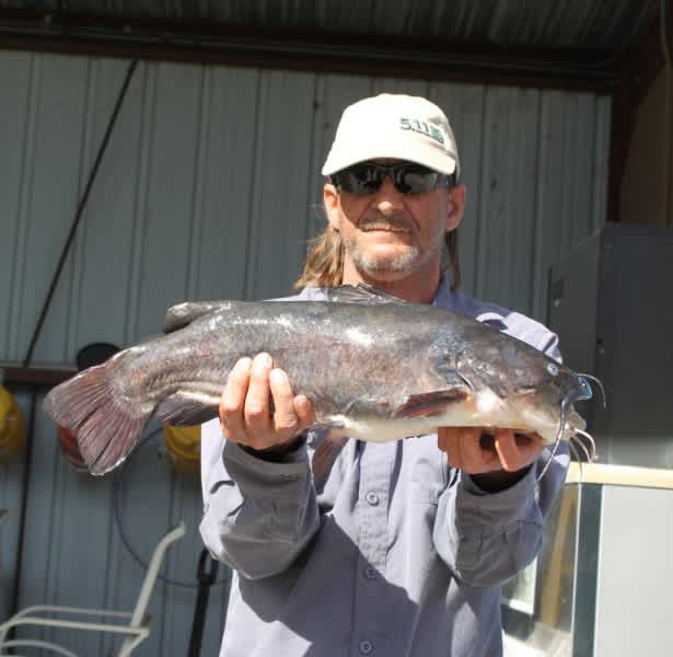 Florida Angler Lands State Record Brown Bullhead Catfish