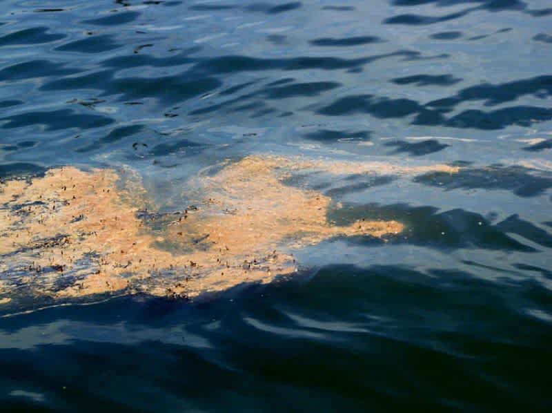 BP Confirms Oil Spill in Lake Michigan