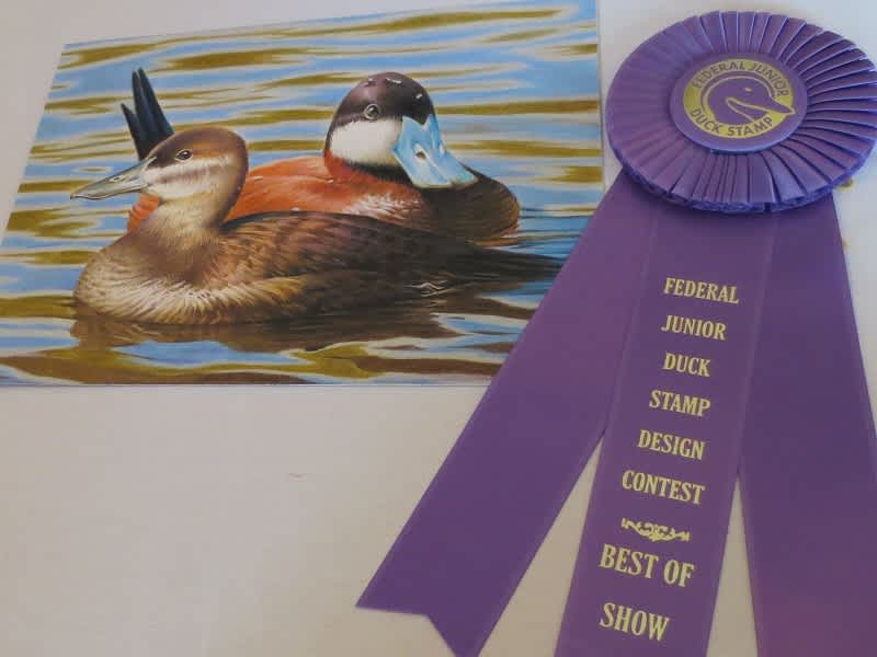 2014 California Junior Duck Stamp Winners Announced