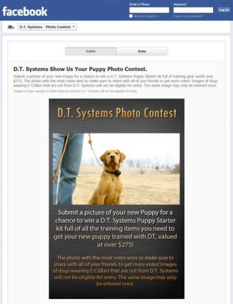 D.T. Systems Announces Puppy Photo Contest on Facebook