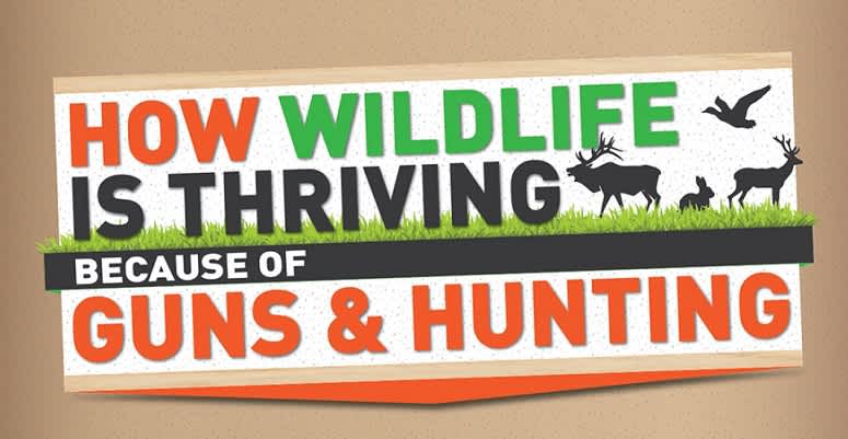 NSSF Infographic: How Wildlife is Thriving Because of Guns and Hunting