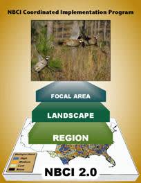 State Wildlife Directors Approve NBCI Implementation Plan for State-Level Bobwhite Restoration