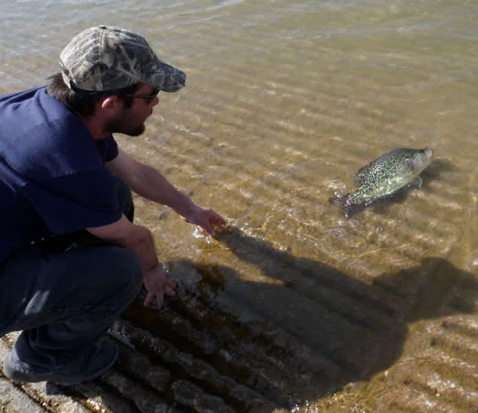 Texas’ Lake Texoma Crappie Could Set Multiple Records