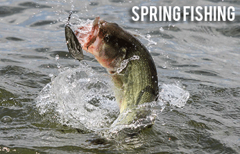 This Week on The Revolution – Spring Fishing