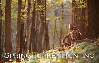 This Week on The Revolution – Spring Turkey Hunting