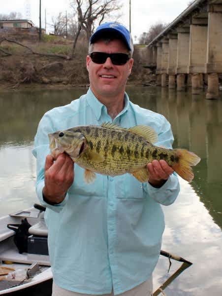 Colorado River Guadalupe Bass Is Potential State, World Record