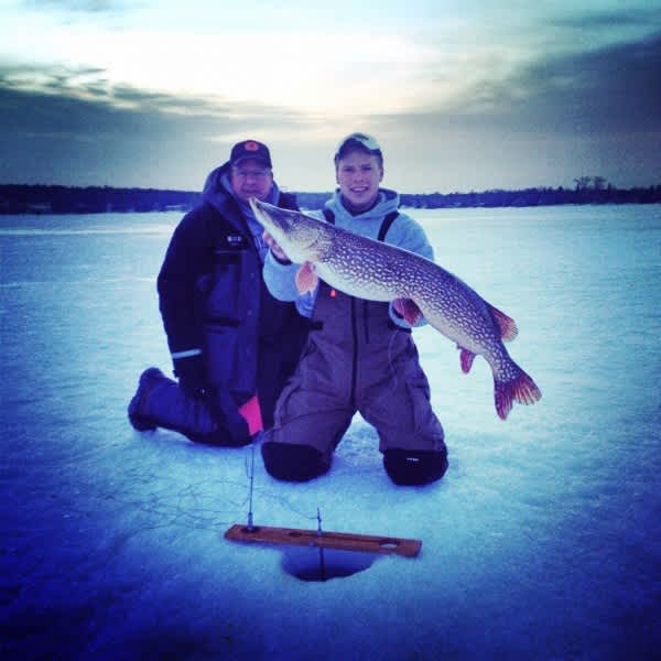 Angler Lands Catch & Release State Record Pike on Beaver Dam Tip Up