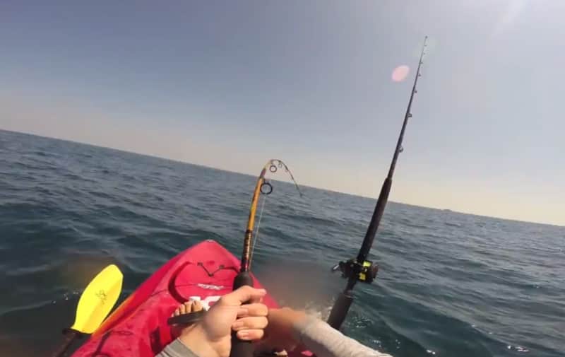Video: Kayak Fisherman Towed for Miles by Shark