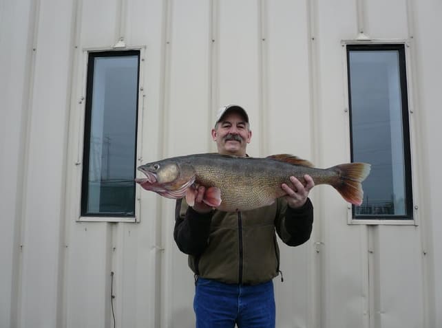 Washington Angler Catches 20-pound State Walleye Record