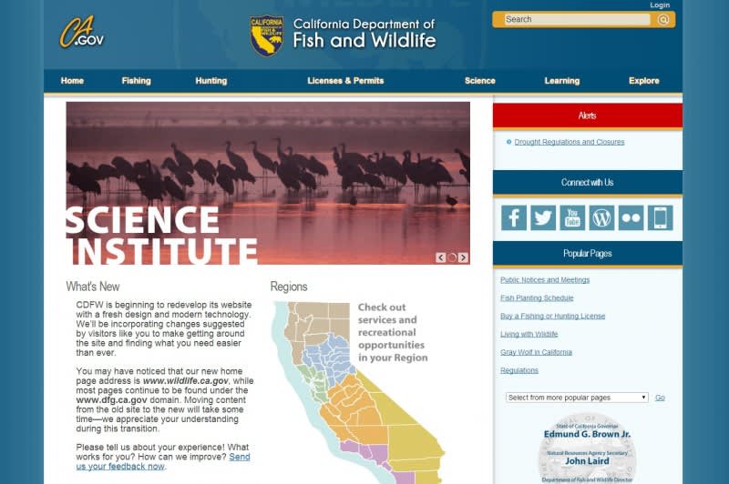California DFW Launches Updated Website Design