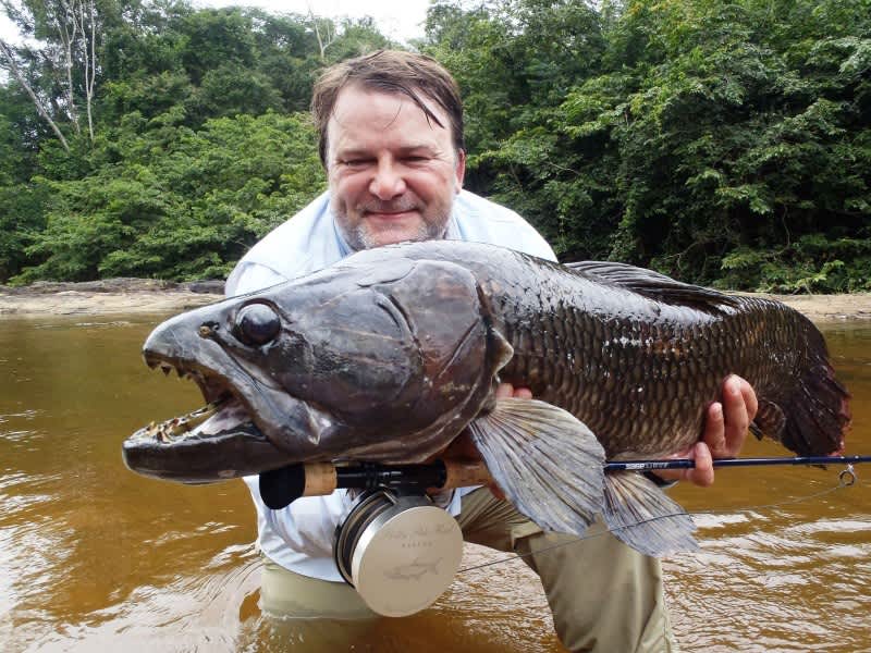 UK Angler Lands Potential Record Wolf Fish in Suriname