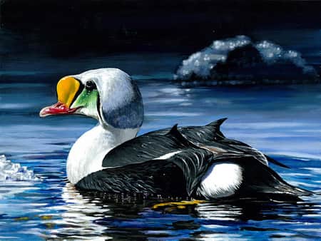 New Jersey Youth Wins 2014 Federal Junior Duck Stamp Competition