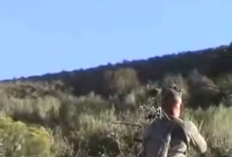 Video: Bowhunter Makes Extraordinary Miss on Large Buck
