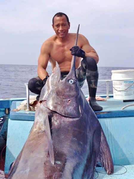 Hawaiian Spearfisherman Takes New World Record Marlin