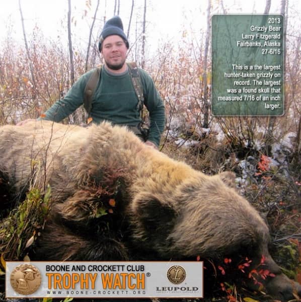 Boone and Crockett Club Recognizes Record Hunter-taken Grizzly