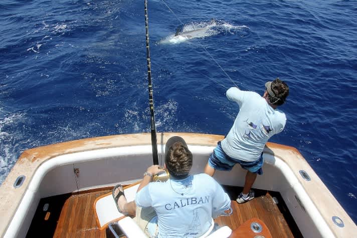 Costa and Cat Cay Yacht Club Bring Back 2014 Cat Cay Tuna Tournament