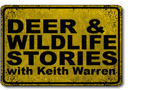 Keith Warren Highlights New Whitetail Research This Week on Deer & Wildlife Stories
