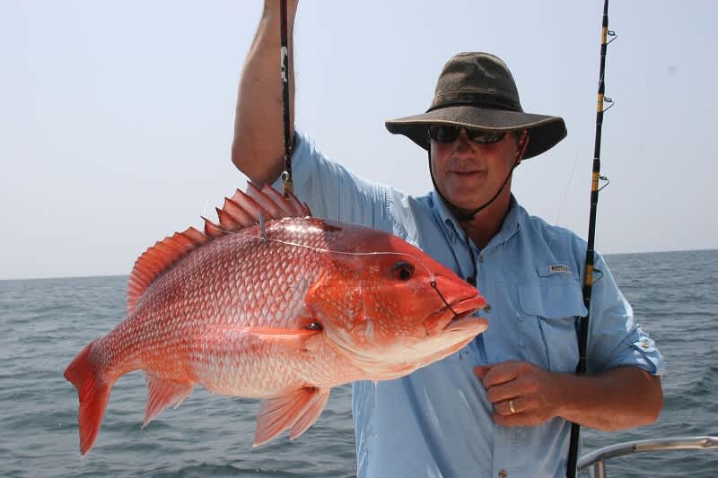 Alabama Red Snapper Fishing Limited by NOAA
