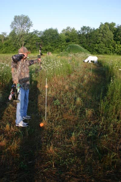 Shoot Foam in the Summer to Get More Venison in the Fall