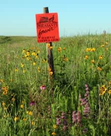 Pheasants Forever Awarded Outdoor Heritage Grant to Boost 1,250 acres for N.D. Birds & Bees