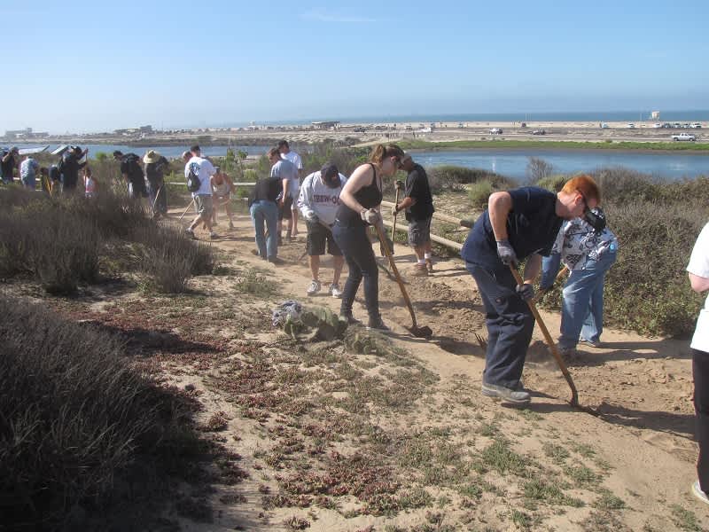 Volunteers Donate Skills to Restore Wildlife Habitat and Trails at Bolsa Chica Ecological Preserve