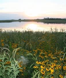 Minnesota’s Border Prairie Wetlands Effort Awarded $1 Million