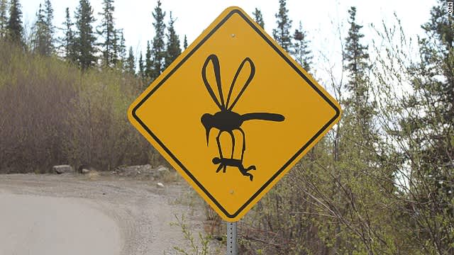 Mosquitoes Suck: How to Avoid Getting Bit