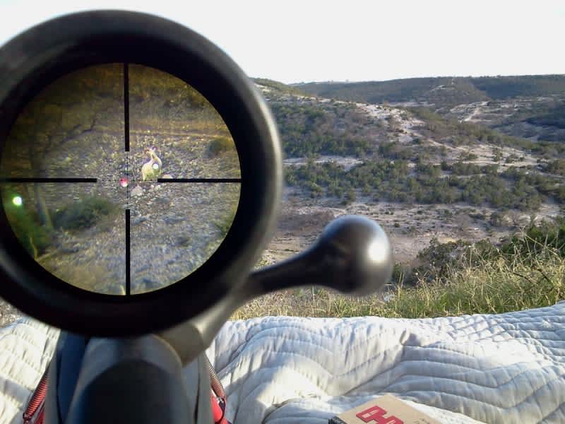 Rifle Practice and Training the Professional Way at FTW Ranch