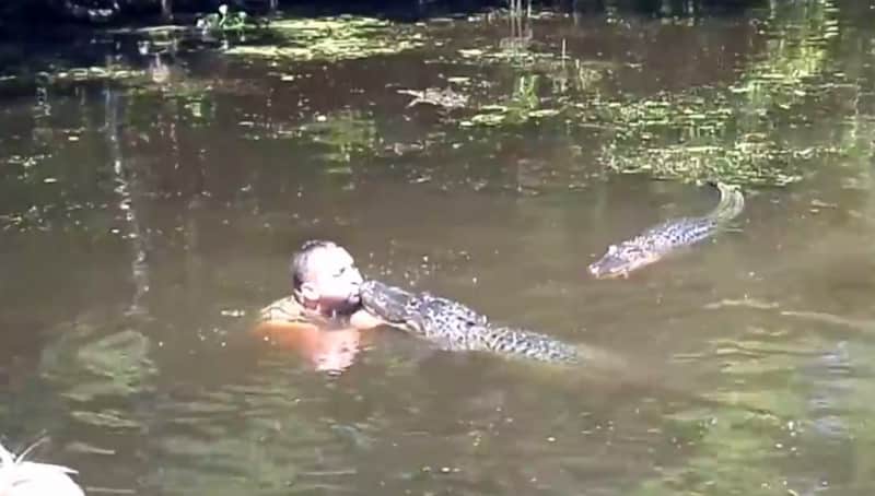 Video: Louisiana Tour Guide Feeds Alligators by Mouth