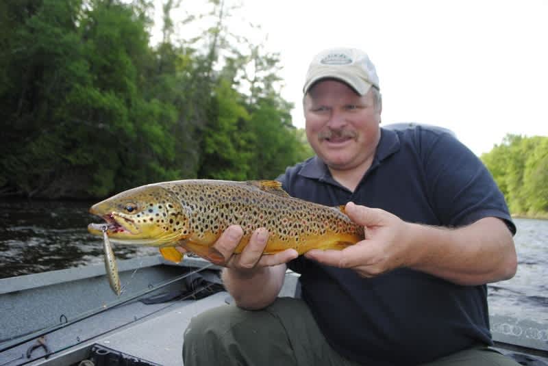 Michigan Brown Trout on the Muskegon River