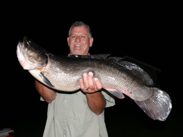Georgia Angler Breaks 38-year-old Bowfin State Record