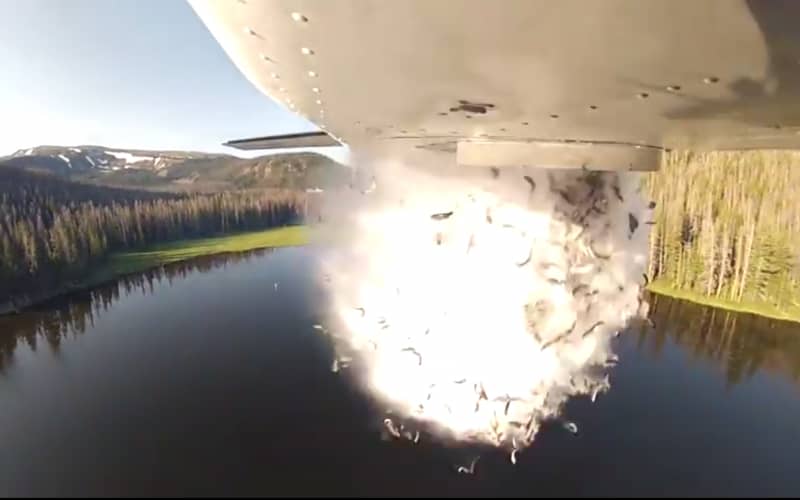 Video: Utah Officials Airdrop Fish to Stock Remote Lakes