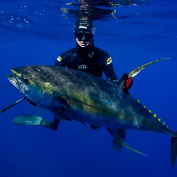 Salt Life’s Master Mariner Captain Cameron Kirkconnell Spears a Historical Yellowfin Tuna in the Ascension Islands