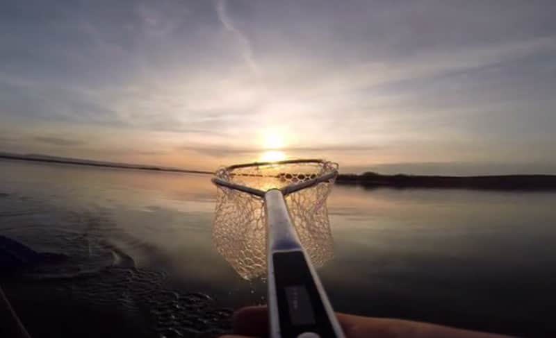 Need to Know What Your Fish Weighs? There’s a Net for That