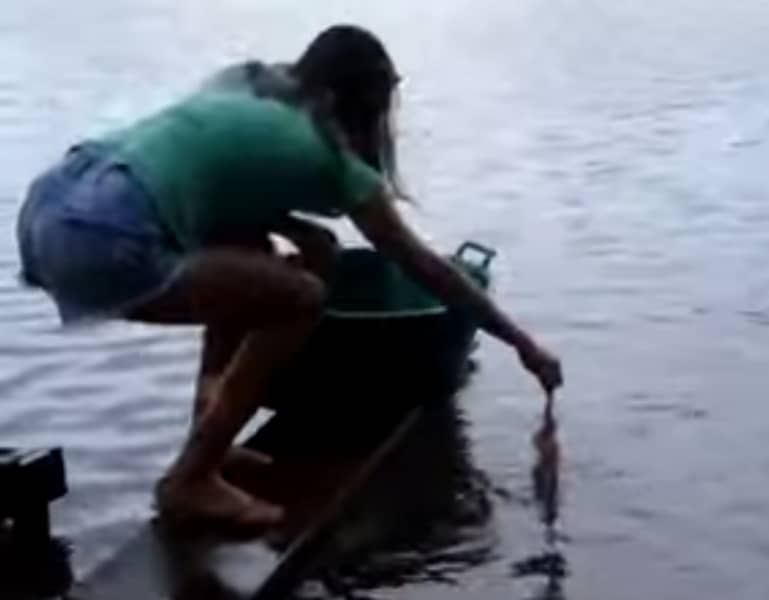 Video: Fishing for Piranha Using Meat