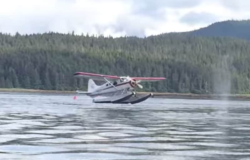 Video: Floatplane Almost Lands on Whale